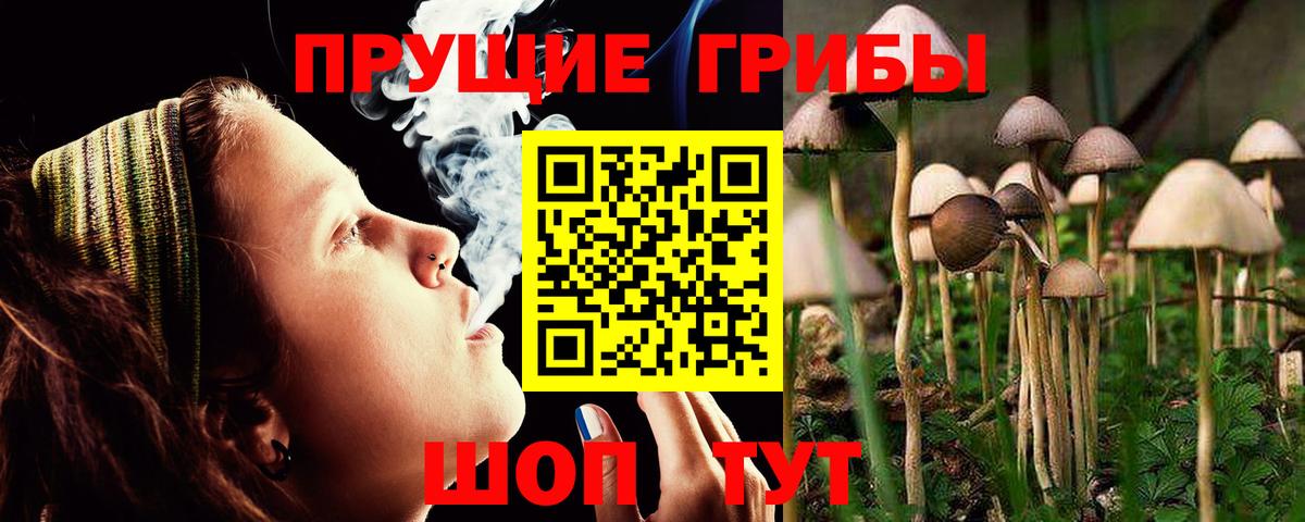 Псилоцибиновые грибы прущие грибы  Псилоцибиновые грибы мухоморы  Евпатория  Вход с VPN 